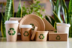 What Is Biodegradable Packaging