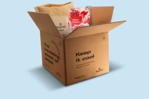 What Is Cold Chain Packaging