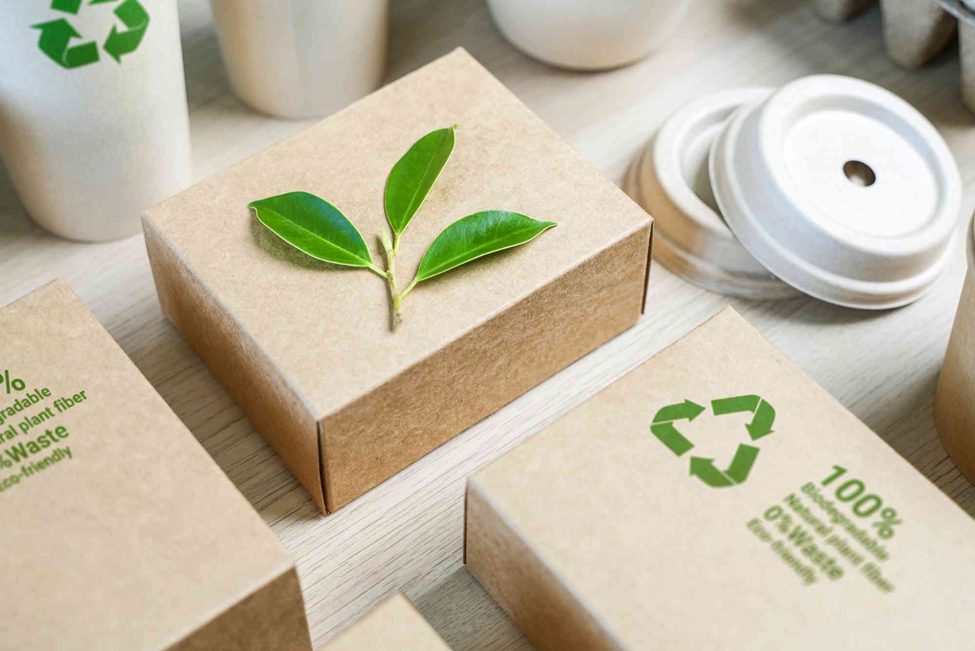 What is environmentally friendly packaging